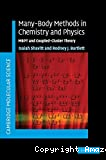 MANY-BODY METHODS IN CHEMISTRY AND PHYSICS