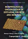 MORPHOLOGICAL ORGANIZATION IN EPITAXIAL GROWTH AND REMOVAL
