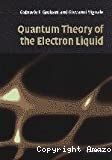 QUANTUM THEORY OF THE ELECTRON LIQUID