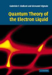 QUANTUM THEORY OF THE ELECTRON LIQUID
