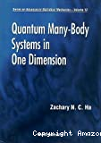 QUANTUM MANY-BODY SYSTEMS IN ONE DIMENSION