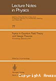 TOPICS IN QUANTUM FIELD THEORY AND GAUGE THEORIES