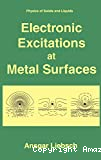 ELECTRONIC EXCITATIONS AT METAL SURFACES