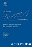 PARTICLE PHYSICS BEYOND THE STANDARD MODEL