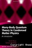MANY-BODY QUANTUM THEORY IN CONDENSED MATTER PHYSICS