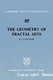 THE GEOMETRY OF FRACTAL SETS