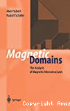 MAGNETIC DOMAINS