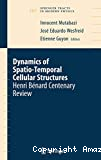DYNAMICS OF SPATIO-TEMPORAL CELLULAR STRUCTURES