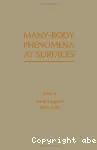 MANY-BODY PHENOMENA AT SURFACES