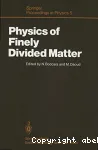 PHYSICS OF FINELY DIVIDED MATTER