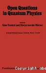 OPEN QUESTIONS IN QUANTUM PHYSICS