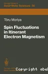 SPIN FLUCTUATIONS IN ITINERANT ELECTRON MAGNETISM