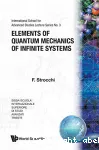 ELEMENTS OF QUANTUM MECHANICS OF INFINITE SYSTEMS