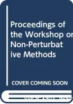 NON-PERTURBATIVE METHODS