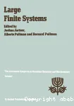 LARGE FINITE SYSTEMS