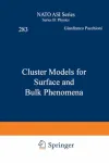 CLUSTER MODELS FOR SURFACE AND BULK PHENOMENA