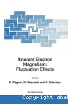 ITINERANT ELECTRON MAGNETISM : FLUCTUATION EFFECTS