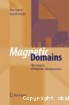 MAGNETIC DOMAINS