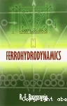 FERROHYDRODYNAMICS