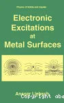 ELECTRONIC EXCITATIONS AT METAL SURFACES