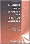 QUANTUM GROUP SYMMETRY AND q-TENSOR ALGEBRAS