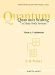 QUANTUM SCALING IN MANY-BODY SYSTEMS