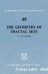 THE GEOMETRY OF FRACTAL SETS