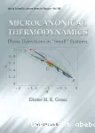 MICROCANONICAL THERMODYNAMICS