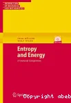 ENTROPY AND ENERGY