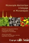 MICROSCOPIE ELECTRONIQUE A BALAYAGE ET MICROANALYSES