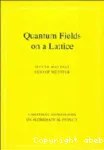 QUANTUM FIELDS ON A LATTICE