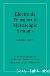 ELECTRONIC TRANSPORT IN MESOSCOPIC SYSTEMS