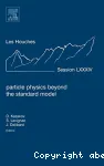 PARTICLE PHYSICS BEYOND THE STANDARD MODEL