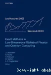 EXACT METHODS IN LOW-DIMENSIONAL STATISTICAL PHYSICS AND QUANTUM COMPUTING