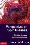 PERSPECTIVES ON SPIN GLASSES