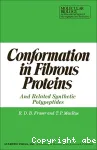 CONFORMATION IN FIBROUS PROTEINS AND RELATED SYNTHETIC POLYPEPTIDES