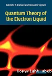 QUANTUM THEORY OF THE ELECTRON LIQUID