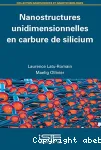 NANOSTRUCTURES UNIDIMENSIONNELLES EN CARBURE DE SILICIUM