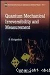 QUANTUM MECHANICAL IRREVERSIBILITY AND MEASUREMENT