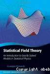 STATISTICAL FIELD THEORY