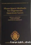 PHASE SPACE METHODS FOR DEGENERATE QUANTUM GASES