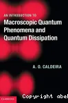 AN INTRODUCTION TO MACROSCOPIC QUANTUM PHENOMENA AND QUANTUM DISSIPATION