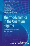 THERMODYNAMICS IN THE QUANTUM REGIME