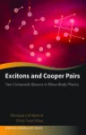 EXCITONS AND COOPER PAIRS