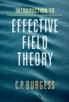 INTRODUCTION TO EFFECTIVE FIELD THEORY