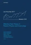 EFFECTIVE FIELD THEORY IN PARTICLE PHYSICS AND COSMOLOGY