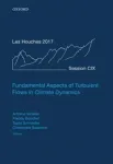 FUNDAMENTAL ASPECTS OF TURBULENT FLOWS IN CLIMATE DYNAMICS