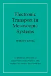 ELECTRONIC TRANSPORT IN MESOSCOPIC SYSTEMS