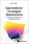 SUPERCONDUCTOR/FERROMAGNET NANOSTRUCTURES