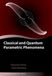 CRITICAL AND QUANTUM PARAMETRIC PHENOMENA